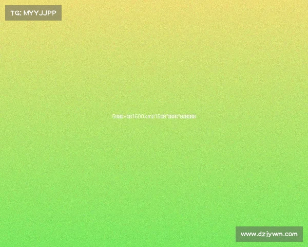 5米车身+续航1500km,15万买“杭州帕美”是智商税吗?